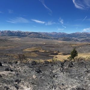 Meet your Posher, Elijah